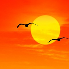 REMEMBER & FEEDBACK - NATIVE SOUL (SOUNDCLOUD PREW)