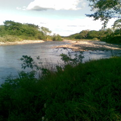 CAMINA PEDRO-(L&M: Jhon Harby Ubaque Dartagnan/Music Prod. David Chebair/Voice-Ximena Puentes/Cuatro & Maracas-Juan Carlos Contreras)