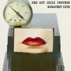 RHCP - My Otherside (Benny Bennasi Remix) (DJ Ark Remix)