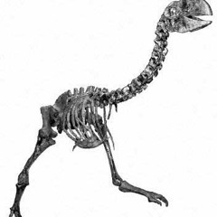 SNAP - Rhythm Is A Dancer - Van Helden Mix -VS- Shihan - This Type Love - Goose Trance Remix