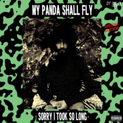 Xerox (Dam Mantle Remix) - My Panda Shall Fly