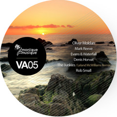 Evans & Waterfall - I Heard So [Monique Musique]