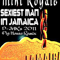 Mint Royale - Sexiest man in Jamaica (Pig House Remix) >>>( FREE DOWNLOAD ) <<<