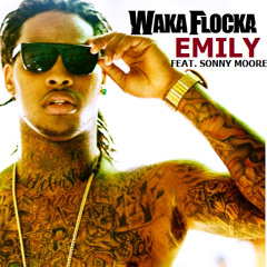 Waka Flocka vs. From First To Last - Emily (Remix)