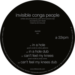 Invisible Conga People - In A Hole