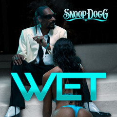 Snoop Dogg - Wet (Afuno Remix)