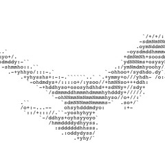 The Clips . . [colorfest]