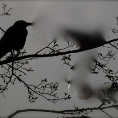 Reminisce (Early Days Freestyle)