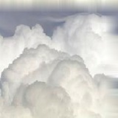 Rainfall ' s taking roots