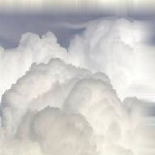 Rainfall ' s taking roots