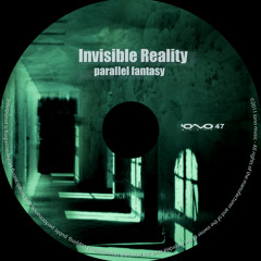 Invisible Reality - Criminal Code (2011)