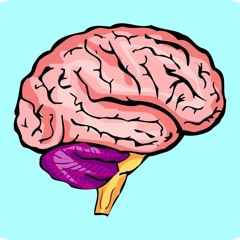 The Pineal Gland Has Control