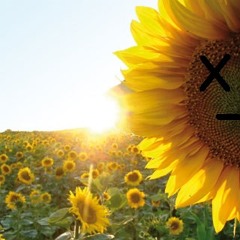 Beatsteaks-Hand in Hand (Remix) PROMO