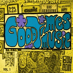 The Undercover Hippie - Move to the sound - GTM Vol 1