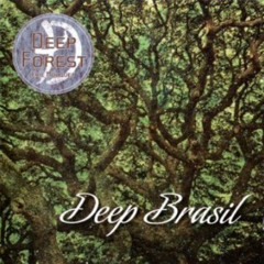 Deep Forest  -  Africa Brasil (Paul Kwitek Remix)