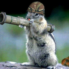 Dzy the Owl - Massive Squirrel Attack ! (Esteban Cors Remix) FREE DOWNLOAD