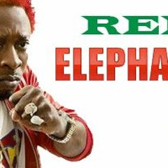 Elephant Man - Gully Creepa ( Specialist Remix 2k11)