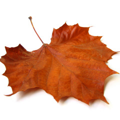 Listorap (Hip-Hop Remix by TooG)