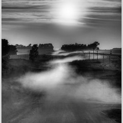 Walk on (Dirty Dust)