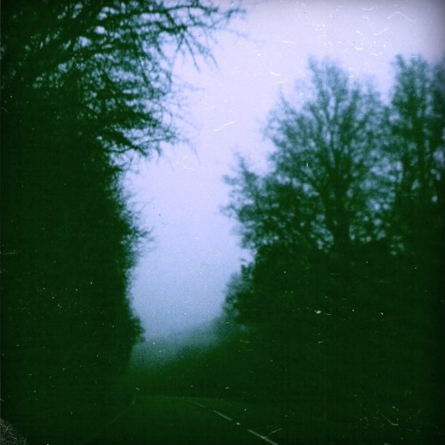 1991 (Lovely Rain) (WARMINAL001)