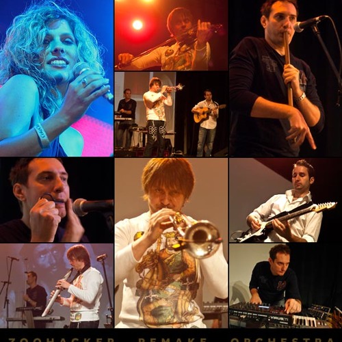 Juli Fabian & Zoohacker Remake Orchestra - Electric Beat Mix No.1