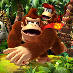 donkey kong country 2 bump