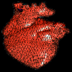 heartstyle arrhythmia