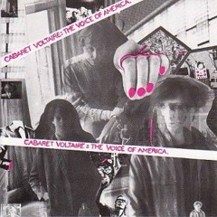 Voice of America/Damage is Done by Cabaret Voltaire remix by plight