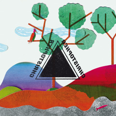 What I Didn't Dream In December