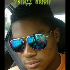 Flipside life (remix)