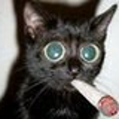 Don't tell me nothin: Orange is not a color; Its an attitude; recorded 1973&a3rd