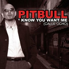 03 I know u Want me Pittbull Electro demo mix