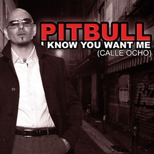 03 I know u Want me Pittbull Electro demo mix