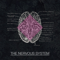 The Nervous System - JamBon