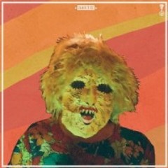 Ty Segall-  Imaginary Person
