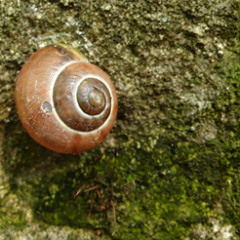 Hourangle - Artesian launch. Horse Hospital 29-11-2010