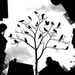 We might as well begin...