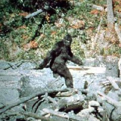 D2 - BIGFOOT