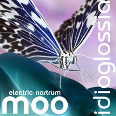 Idioglossia (The Late Night Mix)