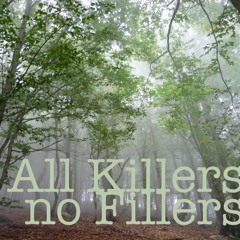 DJ 75 All killers no Fillers// Vinyl Hip Hop Mixtape