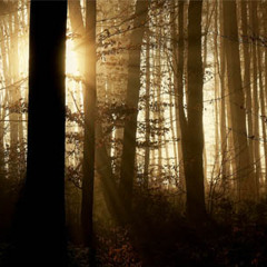 Bright Morning Sun 2.0 (Radio Edit)