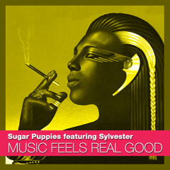 Music feels real good - Sugar Puppies [free download]