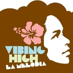 Vibing High (2006)