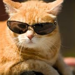 Roxmaker - Be In The Cat House (Original Mix) [128kbps]