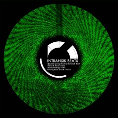 Spring Flash Mixed By The IntransikBeats - FREE DOWNLOAD -