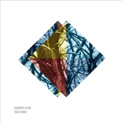 HARRYS GYM - OLD MAN ( TORKELSEN REMIX)