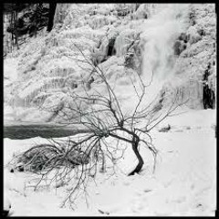 Tapage & Miss Twilight - Frozen