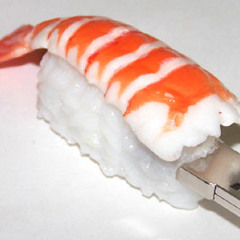 Sushi Tech (DJ Mix)