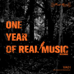Groove Soundsystem - Cred Ca - One Years Of Real Music Records VA01