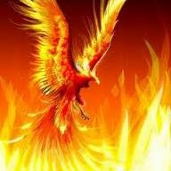 Like a Phoenix Rising from the Ashes